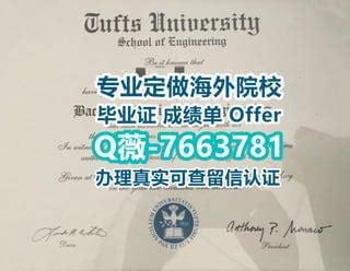 国外大学文凭服务：详解办理提兹塞德大学毕业证书方法