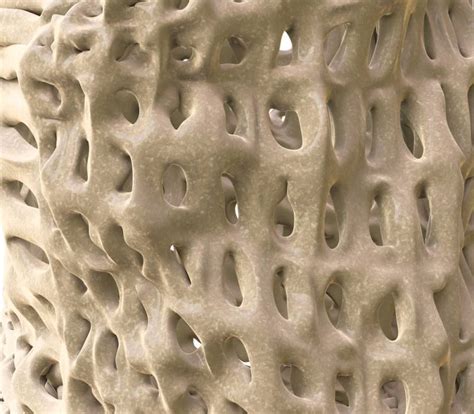 Ospemifeno: primer tratamiento oral para la atrofia vaginal | Tu canal ...