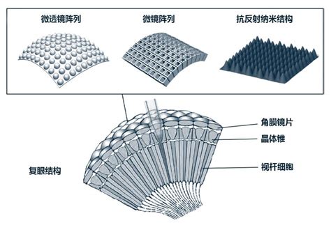 MicroLens Array 的图像结果
