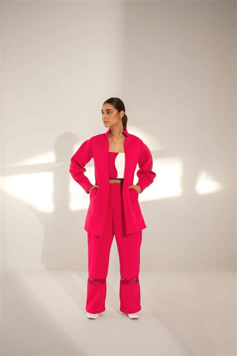 Kritika Madan Label - Women Pink Plain Coat: High Neck And Mesh Pant S ...