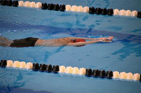 Middle School Summer Swim 的图像结果
