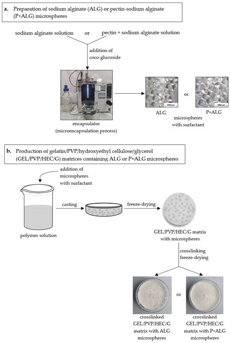 Freeze-Dried Matrices Composed of Degradable Polymers with Surfactant ...