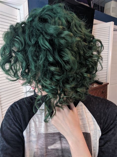 Emerald green curly hair | Dyed curly hair, Curly hair styles, Fall ...