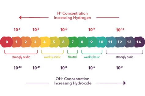 Bildergebnis für 0 ph