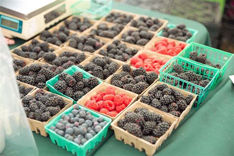 Fresh faces, fresher food: the heartbeat of the Westwood Farmers Market ...