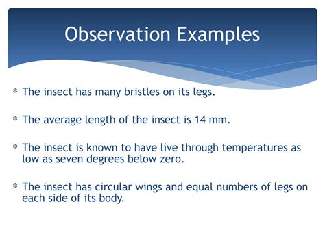 Inference Observation 的图像结果