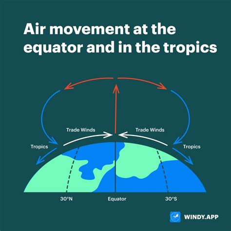 Trade Wind 的图像结果