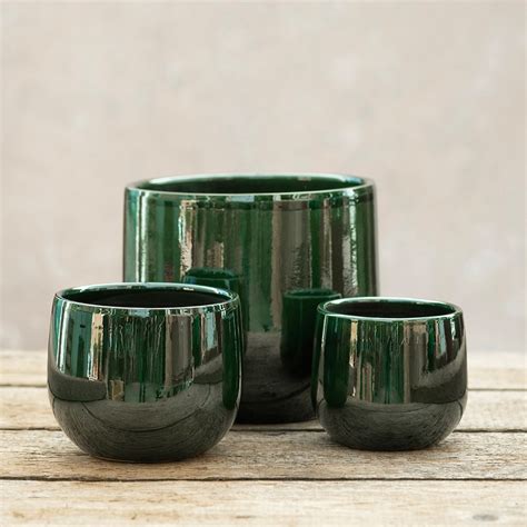 Buy Glazed round plant pot - dark green: Delivery by Waitrose Garden