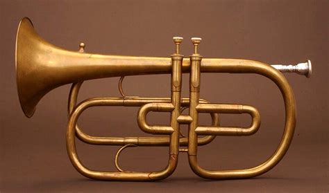 Image result for Trumpet