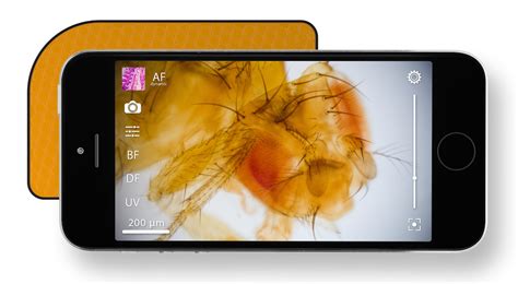 Max See Digital Microscope Android 的图像结果