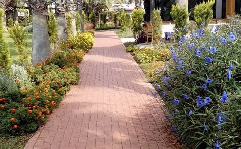 TUI MAGIC LIFE BELEK - Hotel Reviews, Photos, Rate Comparison - Tripadvisor