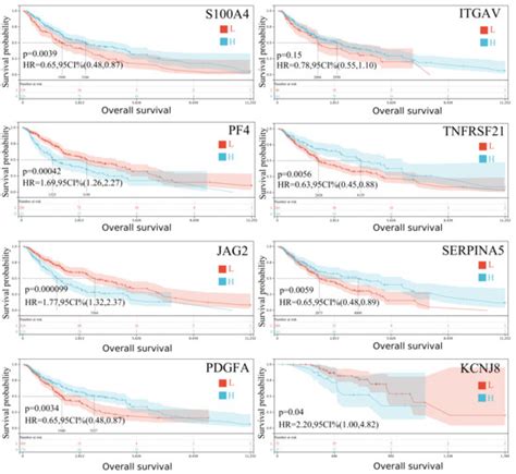 Angiogenesis-Related Genes Predict Outcomes and Immune Traits in Skin ...