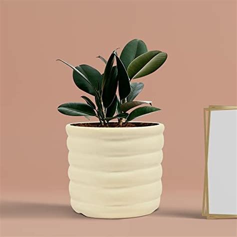 Lasaki Spiral Medium White Ceramic Pots for Indoor Plants, Planters ...