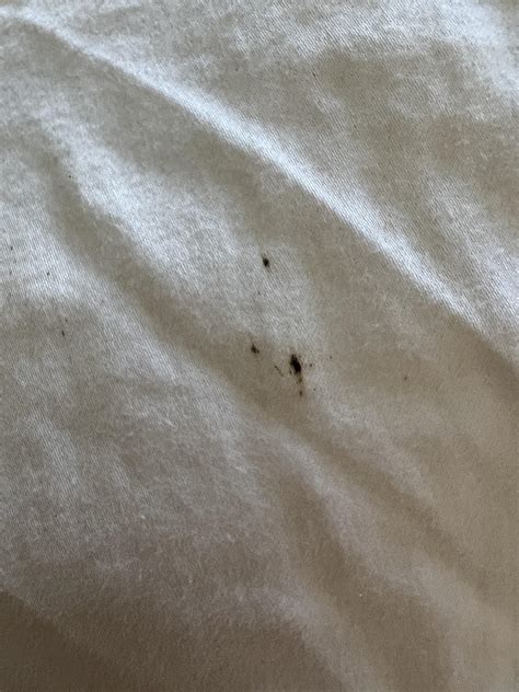 are these bed bug stains ? : r/Bedbugs