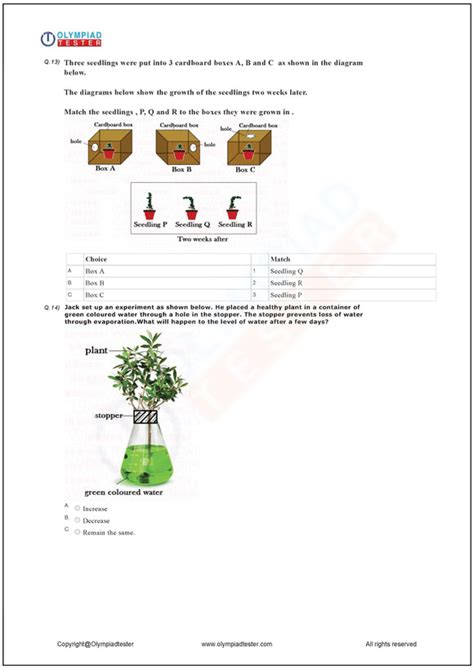 Class 2 Study Material– Tagged "Science - Plants"– Olympiad tester