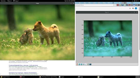 Image result for Blue Color Code in Python