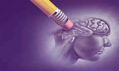 Flavonoid-rich foods may protect against Alzheimer's disease