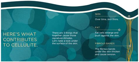 Image result for Cellulite Injection