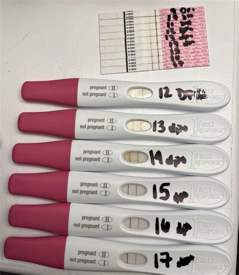 Easy@home and FRER - 9/12-17 DPO. Stopping testing and hoping for the ...