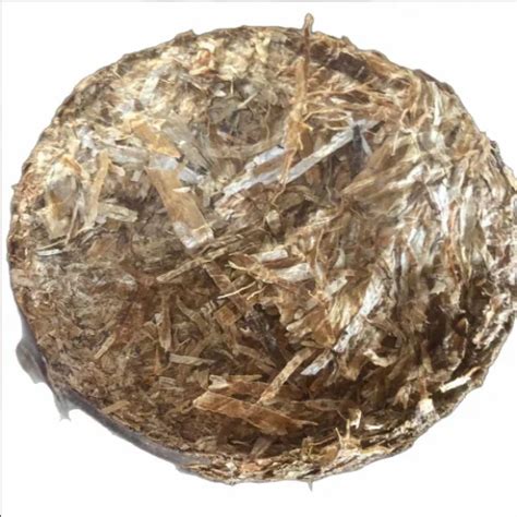 Biomas Briquettes Product - Castor Seed Shell Briquettes Products ...