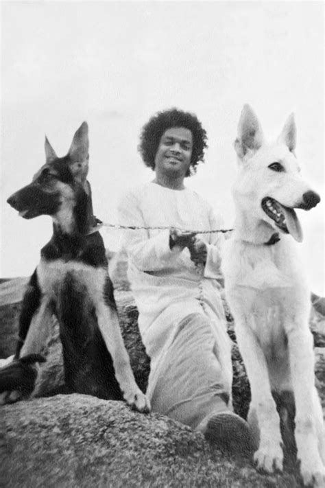 Swami with Animals and Birds