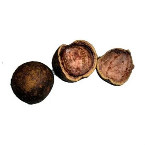 Medicinal Herbs - Wood Apple/ Feronia Limonia Fruit Seed Service ...