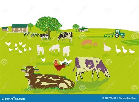 Agriculture Cartoon 的图像结果