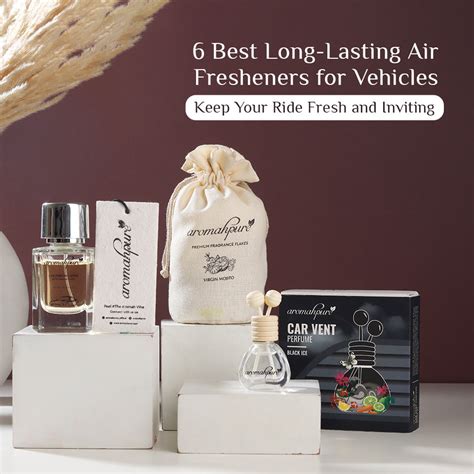 6 Best Long-Lasting Air Fresheners for Vehicles – Aromahpure
