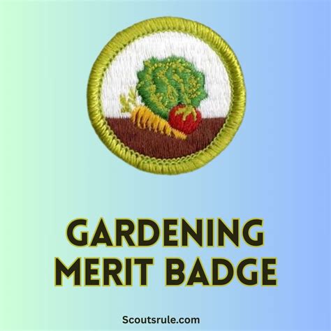 Sustainability Merit Badge Guide - Scouts Rule