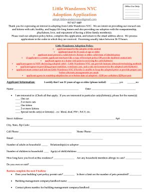 Little Wanderers NYC Adoption Application - Fill and Sign Printable ...