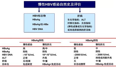 hbv病毒怎么感染的(hbv是什么病毒?)-参考网