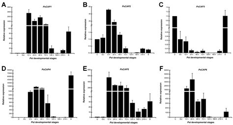 Identification and Functional Analysis of CAP Genes from the Wheat ...