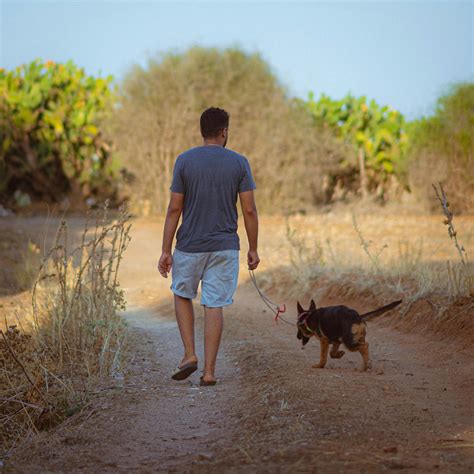 Person Walking Outside 的图像结果