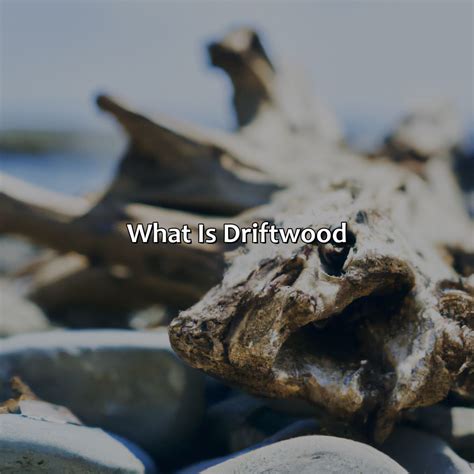 What Color Is Driftwood - colorscombo.com