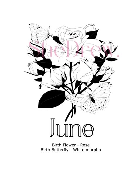 June Birth Month Flowers & Butterfly – SheDrew.