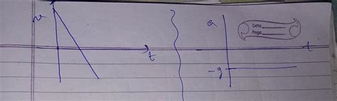 a ball is thrown vertically upwards. Draw it's (I) velocity time curve ...