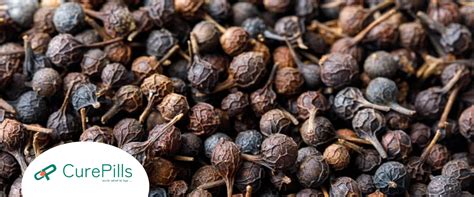 Kabab Chini Explained: Health Benefits, How to Use, and Safety Tips ...