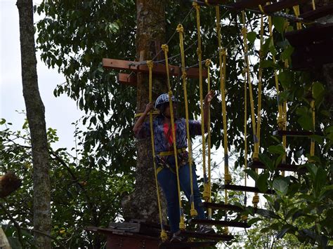 TREETOP ADVENTURE PARK (2026) All You Need to Know BEFORE You Go (with ...