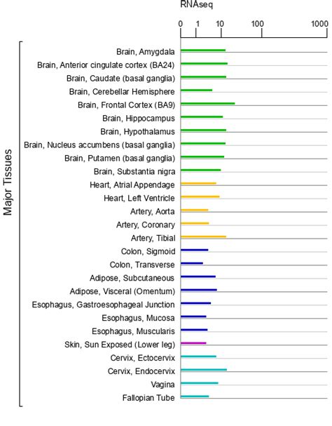 Image result for Rorb Model Routing