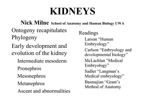 Kidney developmentprint | PPT