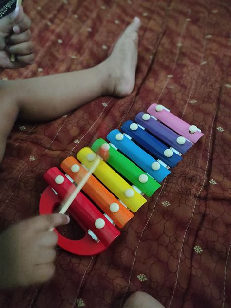 Buy Crazycrafts Wooden Xylophone with 8 Notes for Kids with Handle ...