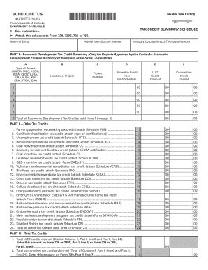 Fillable Online DEPARTMENT OF REVENUE TAX CREDIT SUMMARY SCHEDULE Fax ...