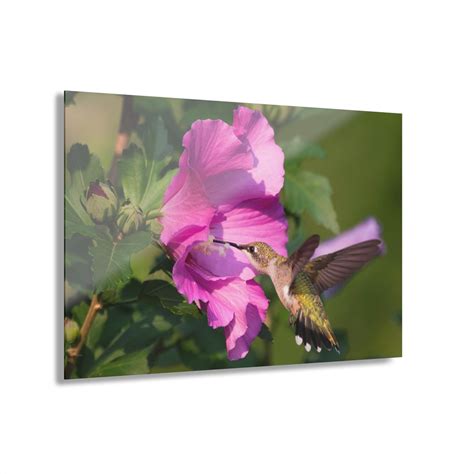 Image result for Hummingbird Carving Patterns