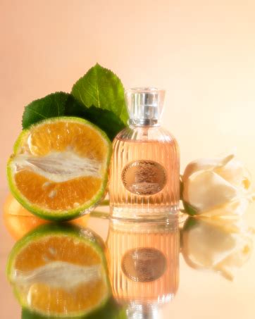 Theater Women Black Mary Jane Block Heels | Single Strap | Round Toe ...