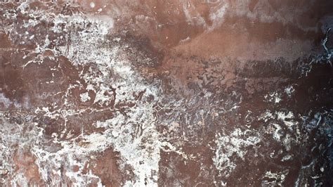 Is White Mold Dangerous Mold Removal, Clean Up & Remediation