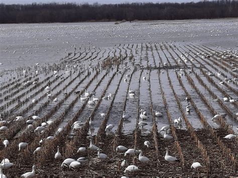 CENTRE D'INTERPRÉTATION DE BAIE-DU-FEBVRE: All You Need to Know BEFORE ...