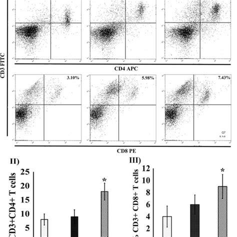 Image result for Faces CD3