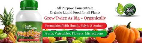 NutriGrow Miracle Gro All Purpose Plant Feed (250ml Pack2) - All ...