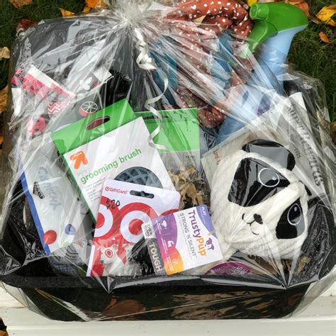 Doggy Care Gift Basket + $20 Target Gift Card