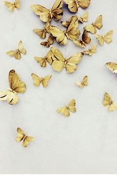 Gold Aesthetic Backgrounds by Aesthetics Background Gold Studying Amino Amino Gold Aesthetic Backgrounds